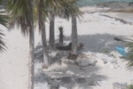 resIMG_20180706_153136_0080.JPG